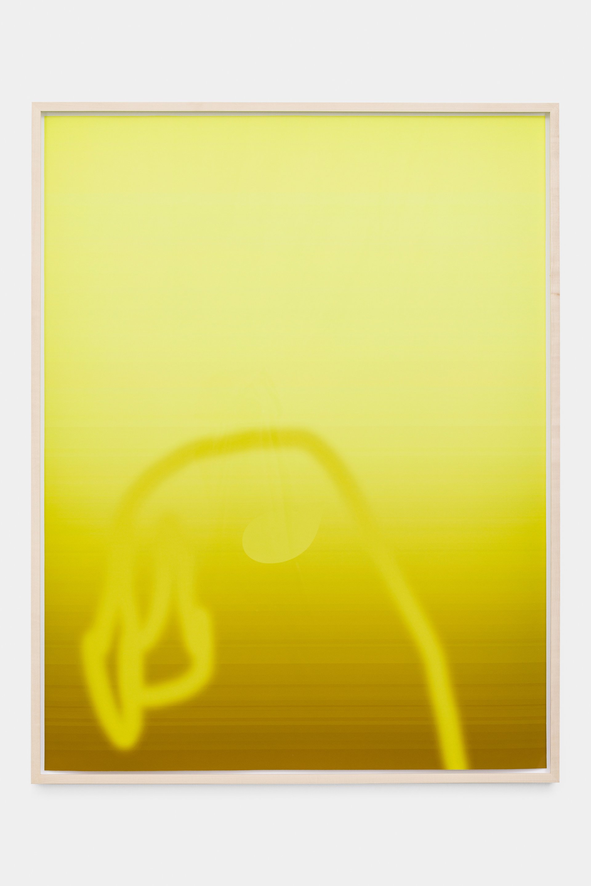 Lisa HolzerObjet petit a (Sundown), 2023Pigment print on cotton paper110 x 83 cm