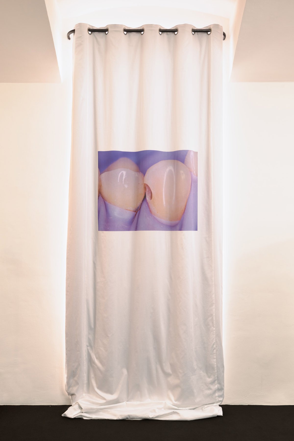 Lili Reynaud-DewarUntitled, 2016Curtain, digital print on cotton400 x 180 cm