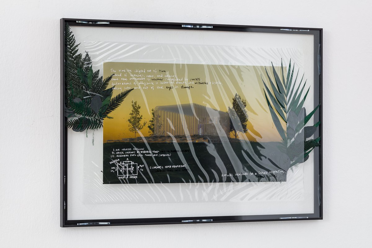 Cécile B. EvansNomadic Structure for a Future Adaptation (Giselle&#x27;s House), 2021C-type print, cellulose biofilm, paint, preserved plants, glass70 × 50 cm