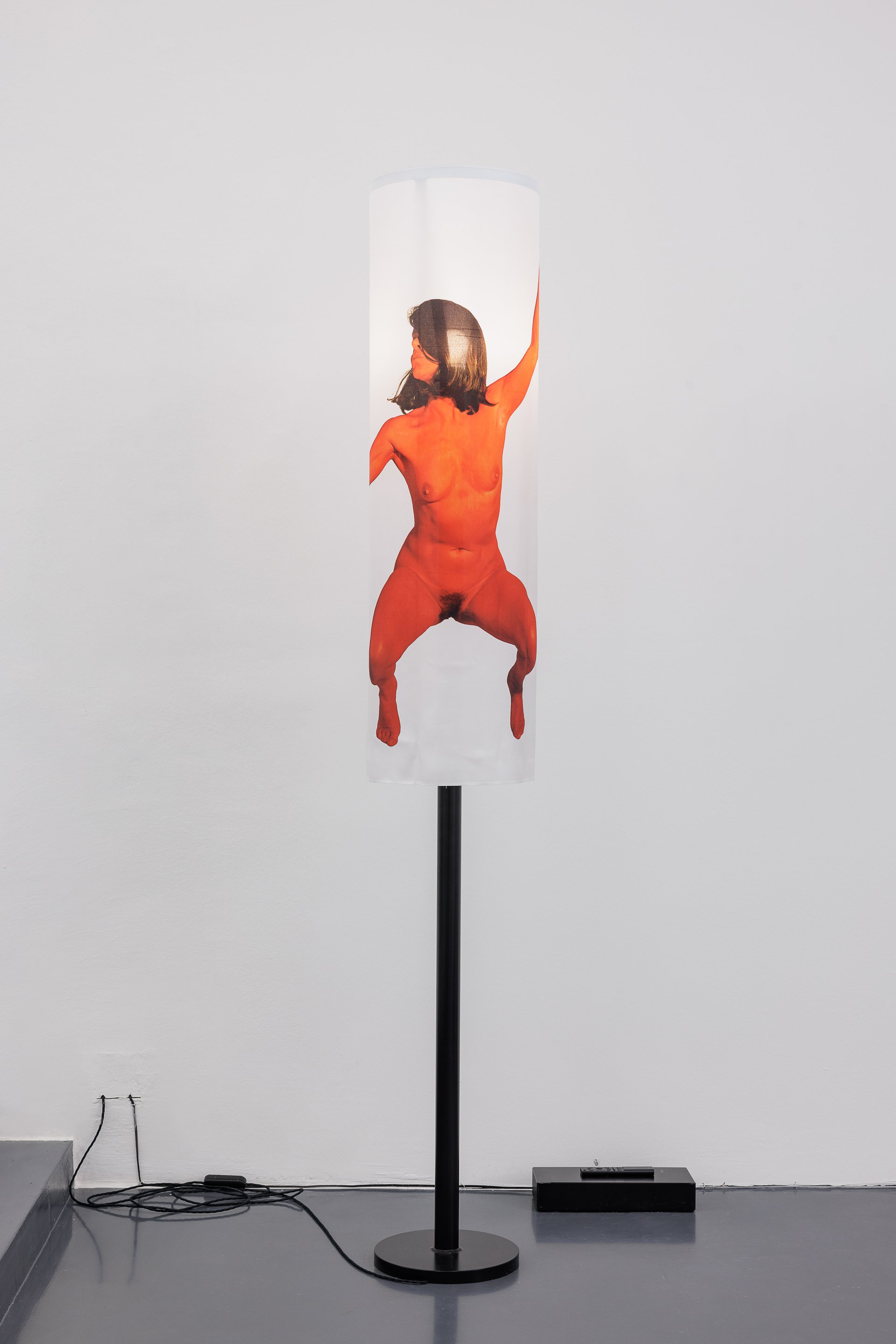 Lili Reynaud-DewarI invited men into my hotel room and asked them very personal questions about their lives, 2022Lacquered metal, printed silk, light bulb214.5 x 30 (d) cm
