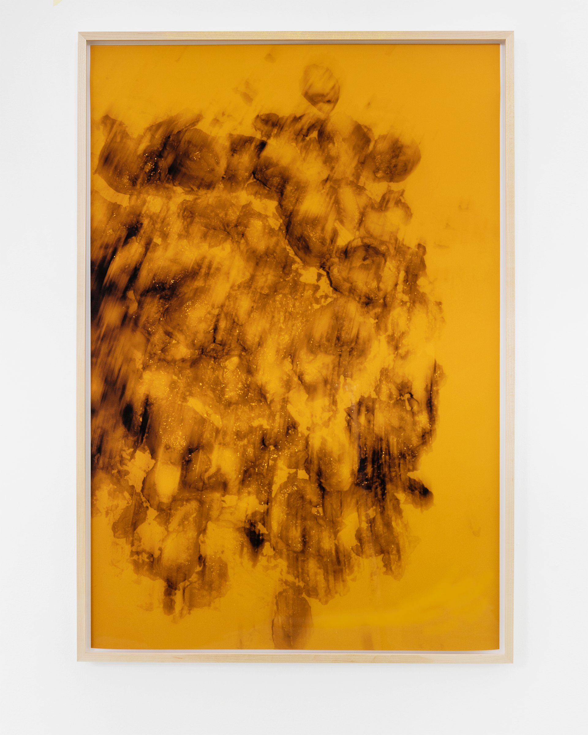 Lisa HolzerGuts, 2019Pigment print on cotton paper, acrylic metallic paint on wood110.3 x 76 cm