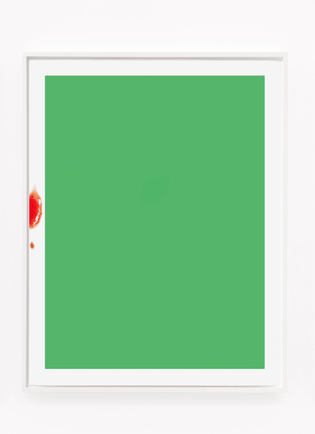 Lisa HolzerF_F_Untitled (a objet petit a monochrome green), 2011Pigment print on cotton paper52.5 x 70 cm