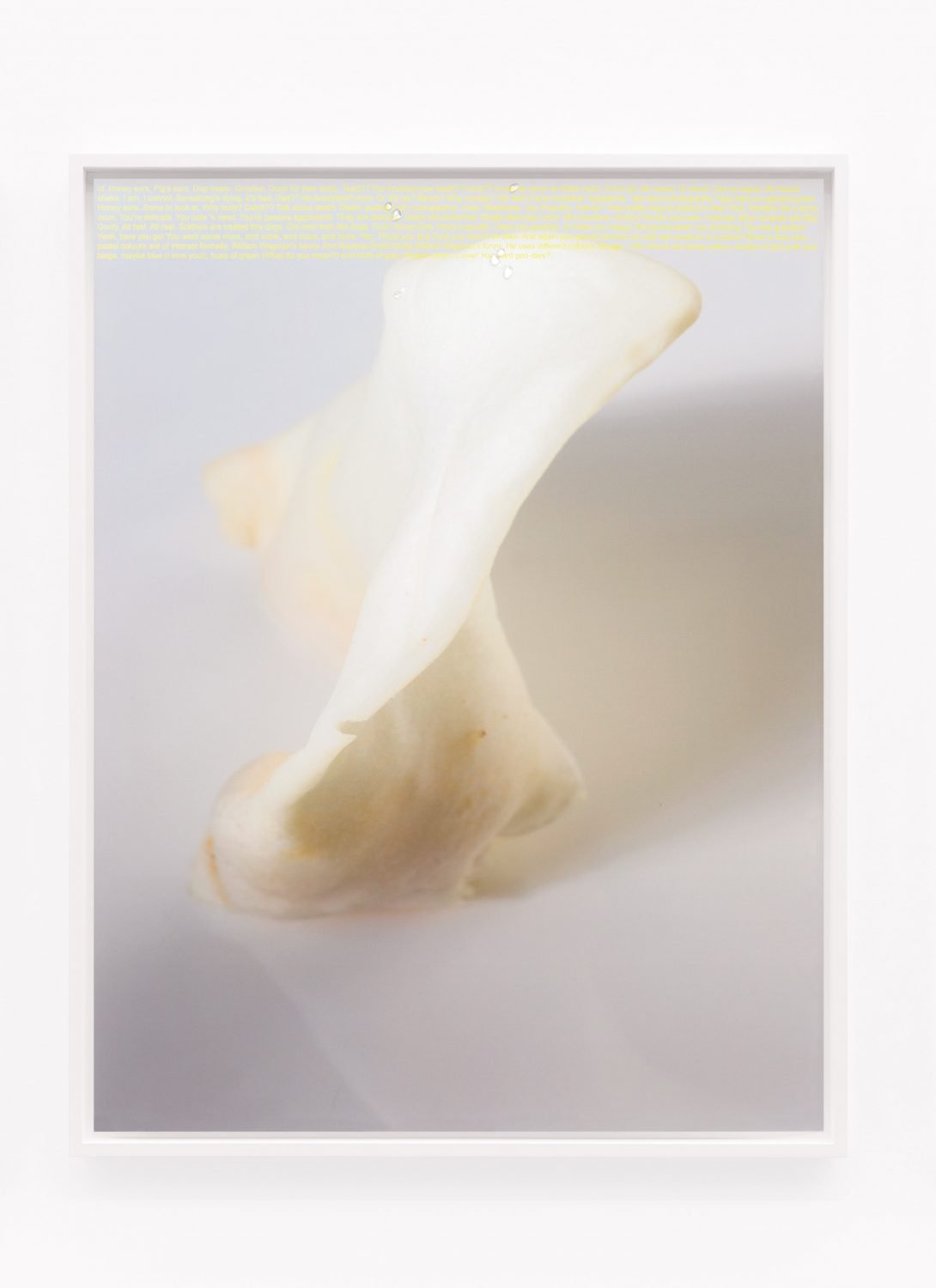 Lisa HolzerInducement, 2016Pigment print on cotton paper, Crystal Clear 202/1 polyurethane on glass92 x 72 cm