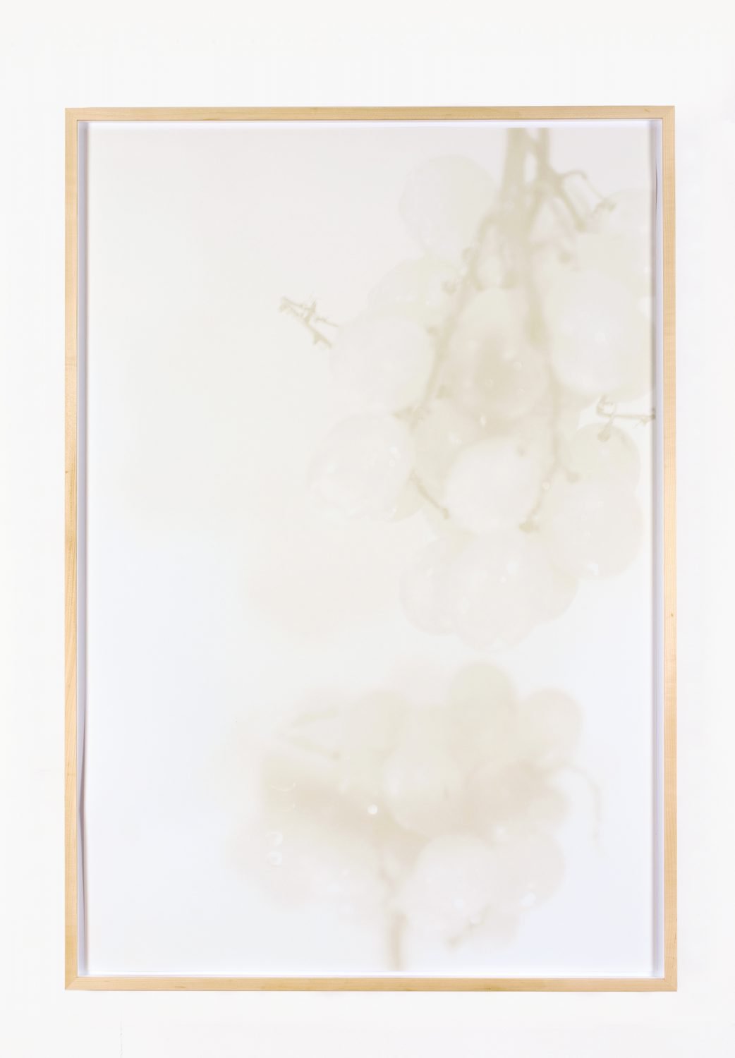 Lisa HolzerTrauben, 2019Pigment print on cotton paper, acrylic metallic paint on wood110.3 x 76 cm