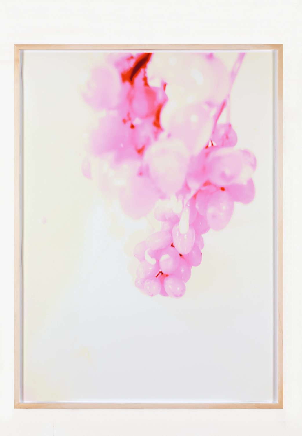 Lisa Holzer, Trauben, 2019Pigment print on cotton paper, semigloss enamel on wood110.3 x 81.4cm