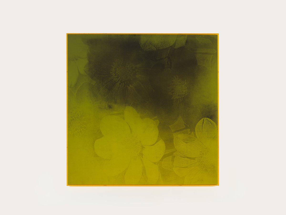 Gaylen GerberClear Sky/Flower, 1997, Ilfachrome print, Plexiglas frame fabricated from a souvenir from Daniel Buren’s Crossing Through the Colors, a work in situ, 2006, 79.5 x 79.5 cm (31 ¼ x 31 ¼ in.)