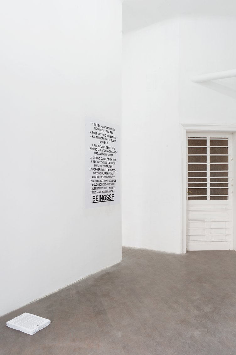 …forsakes its existence and gives its shape over to recollection, 2011Installation viewLayr An der Hülben, Vienna