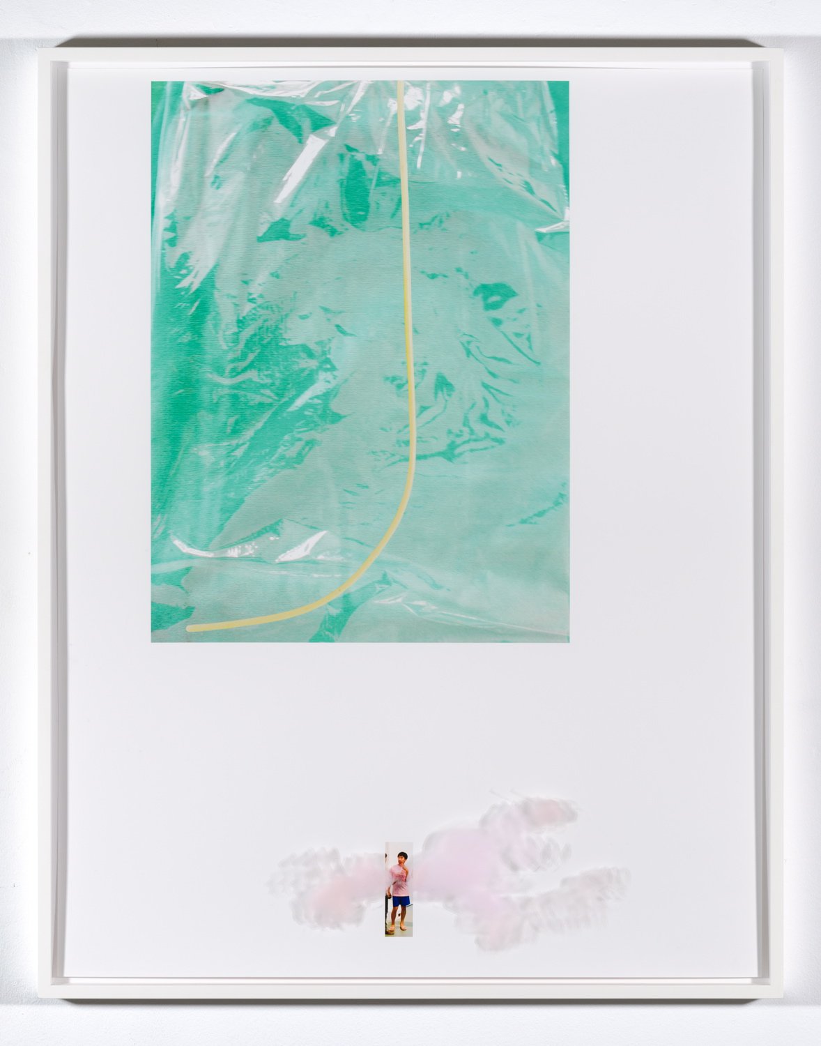 Lisa HolzerEi passing under spaghetti, 2012Pigment print on cotton paper, acrylic on glass92 x 72 cmEdition of 1 plus 1 artist’s proof