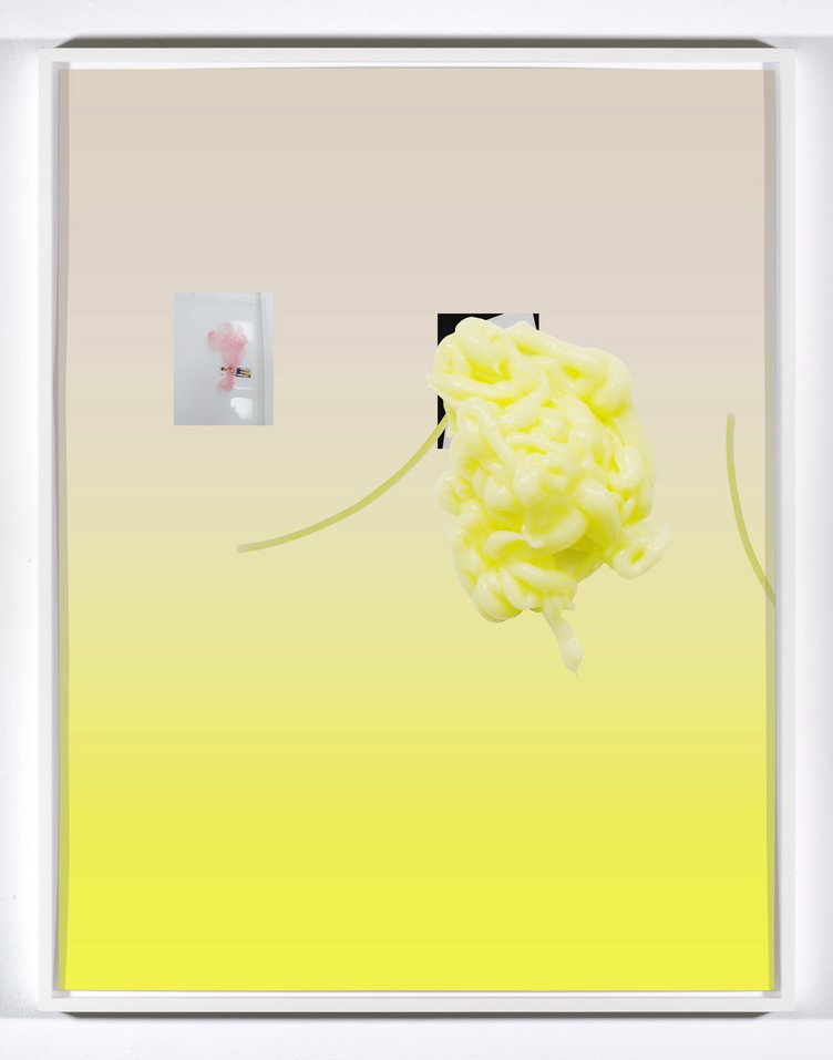 Lisa HolzerNude monochrome&#x27;s naked dream with Ei passing under spaghetti and Go Blonder shampoo (blushing yellow), 2014Pigmentprint on cotton paper92 x 72 cmEdition of 1 plus 1 artist’s proof